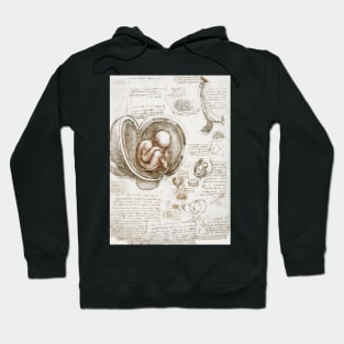 Studies of the Fetus in the Womb - Leonardo da Vinci Hoodie